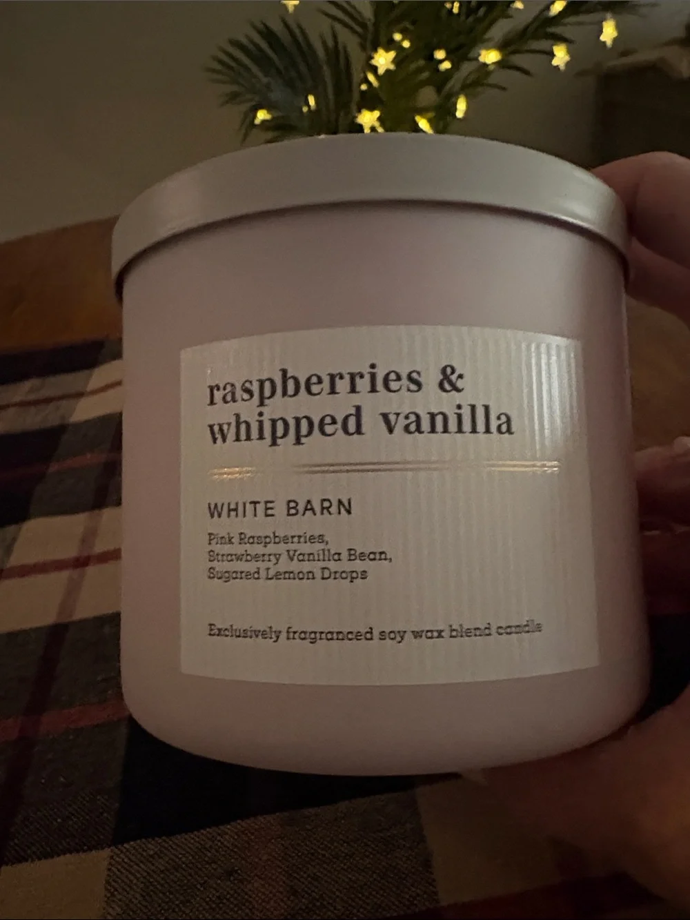 Nwt Raspberry & Whipped Vanilla” 3 wick candle & 2 wallflower plug in’s
